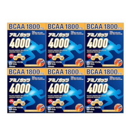 アミノガッツ4000 5g×30包【6個セット】【お取り寄せ】(4580101203747-6)