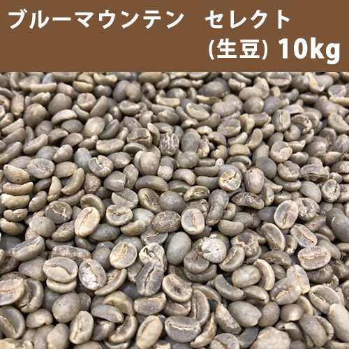 コーヒー 生豆 ブルーマウンテン セレクト 10ｋｇ(5ｋｇ×2)【送料無料(一部地域を除く)】【同梱不可】