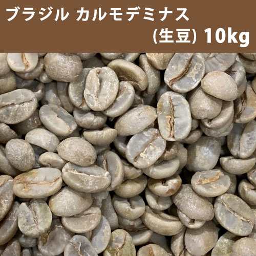 コーヒー 生豆 ブラジル カルモデミナス 10ｋｇ(5ｋｇ×2) 【同梱不可】　【送料無料(一部地域を除く)】