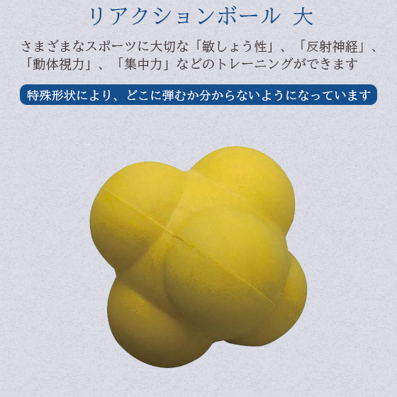 ハタ運動具 マルチスポーツ リアクションボール大 Rbl100 21 グッズその他 Rbl100 の通販はau Pay マーケット リバーアップ3号店 ハタ運動具 マルチスポーツ リアクションボール大 Rbl100 21 グッズその他 Rbl100 の通販はau Pay マーケット リバーアップ3号店