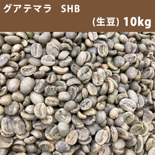 コーヒー 生豆 グアテマラ SHB 10kg(5kg×2) 【送料無料(一部地域を  