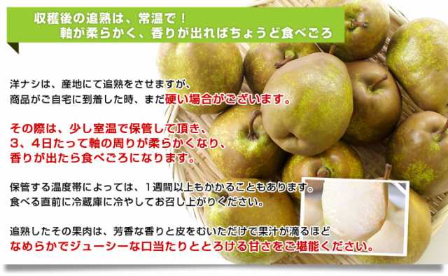 岩手県より産地直送 Jaいわて中央 洋梨 マルゲリット マリーラ 5キロ 12玉から16玉 なし ナシ 送料無料 産直だよりの通販はau Pay マーケット 産直だより