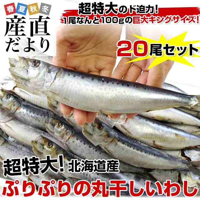 北海道産 超特大いわし丸干し 巨大キングサイズ 尾セット 2キロ 1尾100g以上 尾 産直だより 北海道直送 イワシ 鰯 送料無料の通販はau Pay マーケット 産直だより