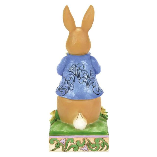 ピーターうさぎ A1QV3P4DC0L._AC_UF350,