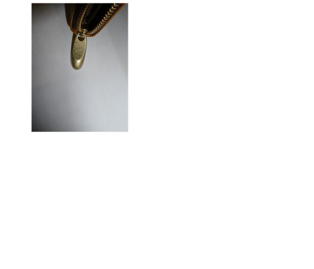 Ain Soph アインソフ AINSOPH ラウンドファスナー長財布 DA1180-WPS ain44_6