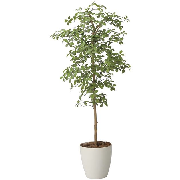 光の楽園(2026年版) アーモンドツリー 品番：2717A450 高さ：160cm - アートクリエイション [光触媒/人工観葉植物]