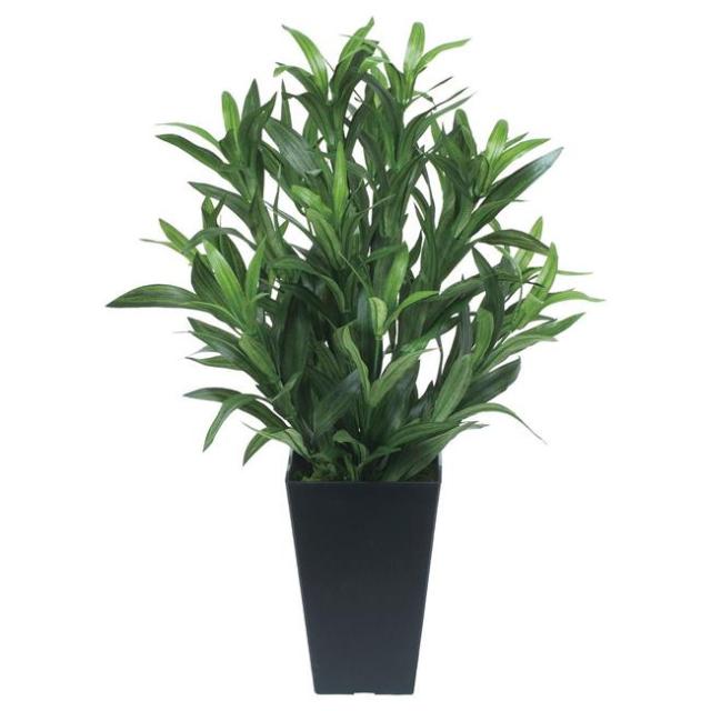 光の楽園(2025年版) スパイダ— 品番：518A70 高さ：50cm - アートクリエイション [光触媒/人工観葉植物] の通販は