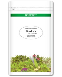 エクレクティック バードック Ecoパック180 500mg×180ｃｐ - ノラ・コーポレーション