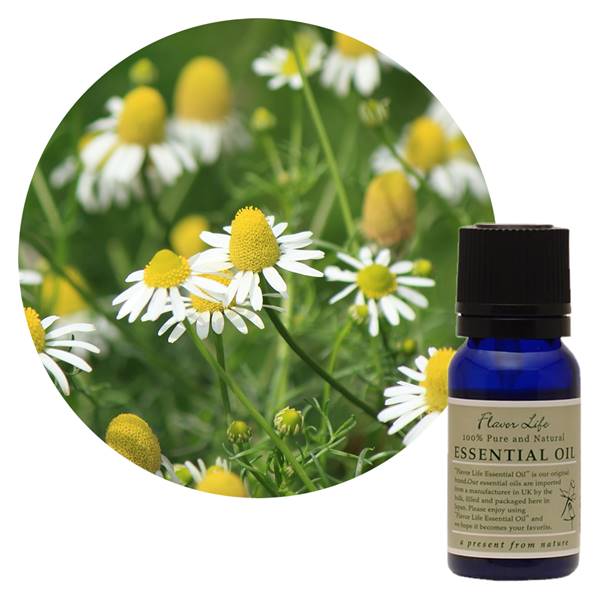 フレーバーライフ社 FL 精油 カモマイル・ジャーマン ブルー 10ml - フレーバーライフ社