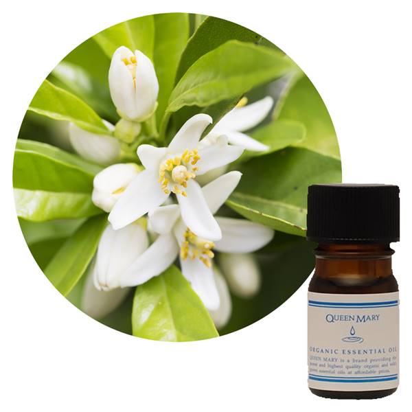 フレーバーライフ社 クイーンメリー 精油 ネロリ 3ml - フレーバーライフ社