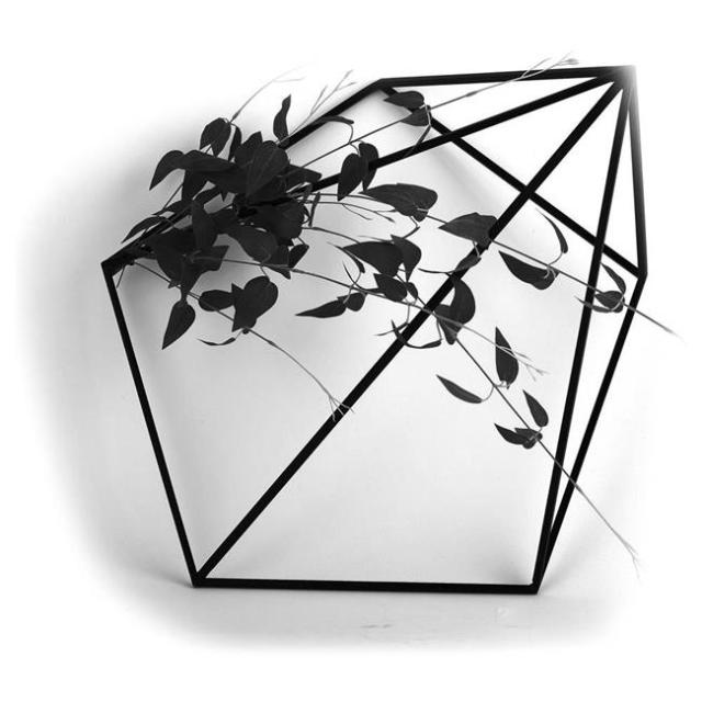 光の楽園(2025年版) 壁面緑化リキュソウ 品番：2002K130 高さ：18cm - アートクリエイション [光触媒/人工観葉植物] の通販は 14,300円