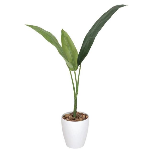 光の楽園(2025年版) トラベラーズパーム 品番：205K130 高さ：110cm - アートクリエイション [光触媒/人工観葉植物] の通販は 14,300円