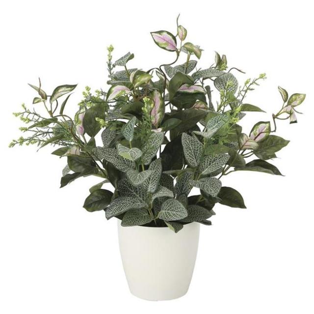 光の楽園(2025年版) ミックスフィットニア 品番：2101A60 高さ：52cm - アートクリエイション [光触媒/人工観葉植物] の通販は 6,600円