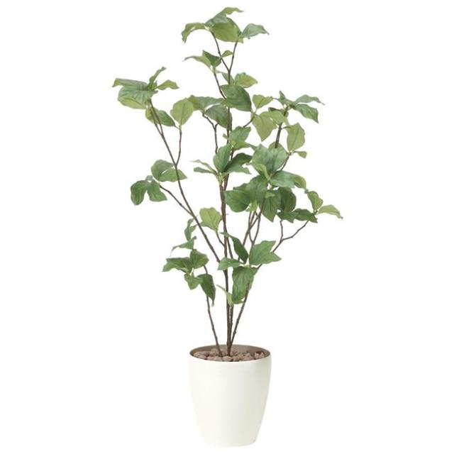 光の楽園(2025年版) サラサドウダン90 品番：827K100 高さ：90cm - アートクリエイション [光触媒/人工観葉植物] の通販は 11,000円