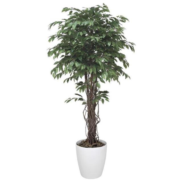 光の楽園(2025年版) ベンジャミンリアナ 品番：152H620 高さ：180cm - アートクリエイション [光触媒/人工観葉植物] の通販は