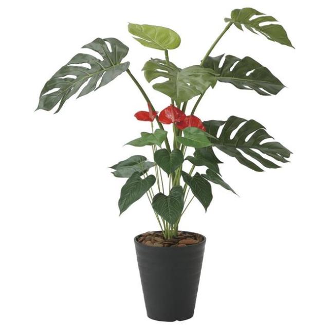 光の楽園(2025年版) モンステラ＆アンスリューム 品番：203H140 高さ：95cm - アートクリエイション [光触媒/人工観葉植物] の通販は