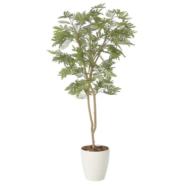 光の楽園(2025年版) ねむの木 (ポリ製) 品番：2259A200 高さ：130cm - アートクリエイション [光触媒/人工観葉植物] の通販は 22,000円