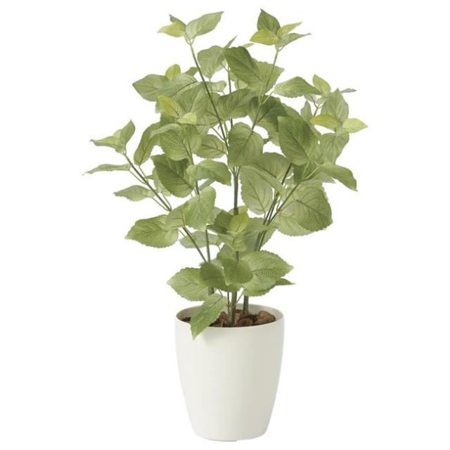 光の楽園(2025年版) ペリーラ70 品番：2271K100 高さ：70cm - アートクリエイション [光触媒/人工観葉植物] の通販は 11,000円