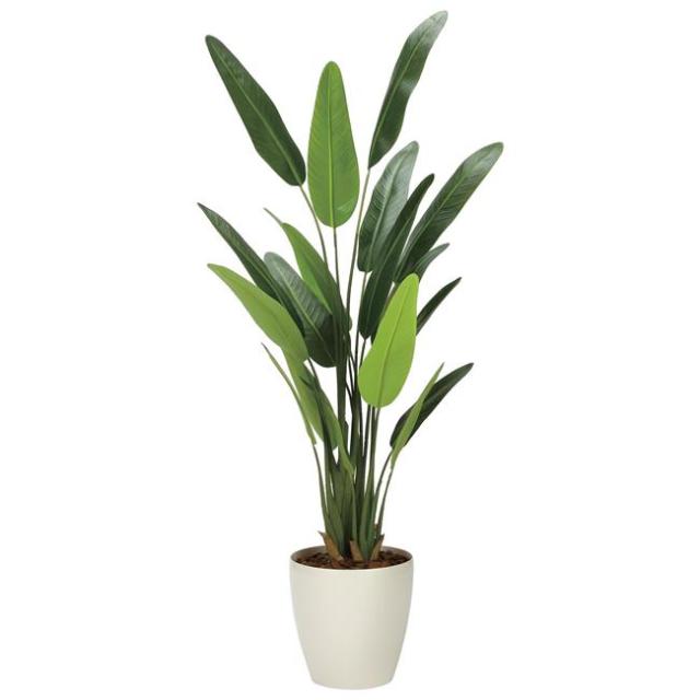 人工観葉植物 エバーフレッシュ FST 180 ポット付き 高さ180cm （P74