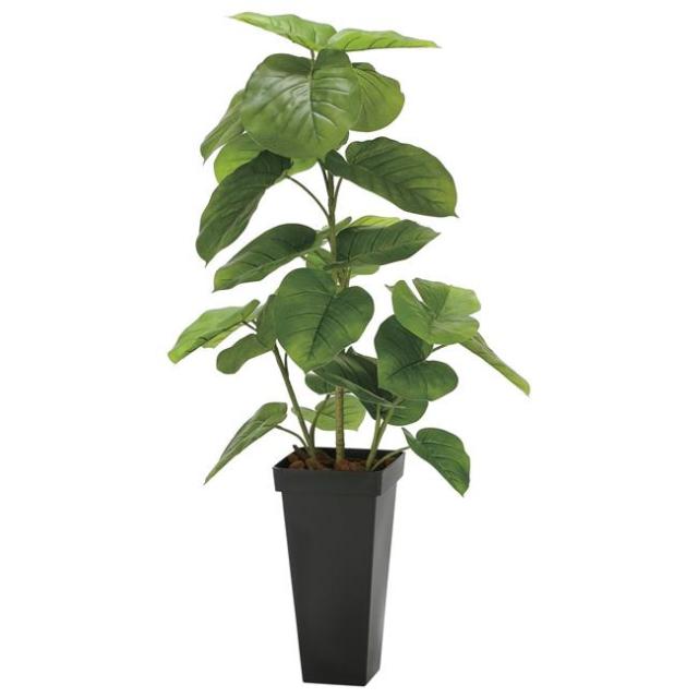 光の楽園(2025年版) フレッシュDXスリムウンベラータ 品番：2326A300 高さ：120cm - アートクリエイション [光触媒/人工観葉植物] の通販は 33,000円