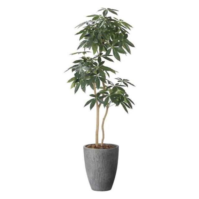 □☆日本製☆☆☆フェイクグリーン ナチュラルパキラ1.8 高さ1.8m 光の楽園 光の楽園(2025年版) ナチュラルパキラ1.8 品番：2404P585 高さ：180cm