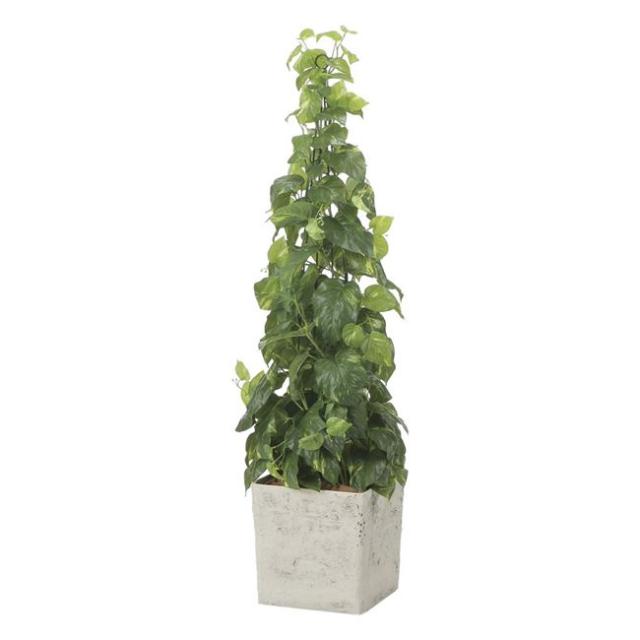 光の楽園(2025年版) インテリアフレッシュポトス1.5 品番：2574A400 高さ：130cm - アートクリエイション [光触媒/人工観葉植物] の通販は