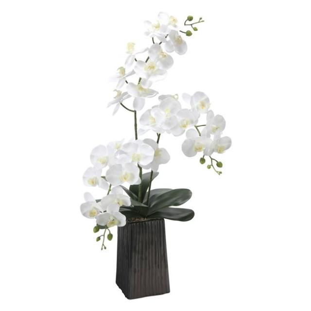 光の楽園(2025年版) デザインフレッシュ胡蝶蘭 品番：2579A200 高さ：87cm - アートクリエイション [光触媒/人工観葉植物] の通販は 22,000円