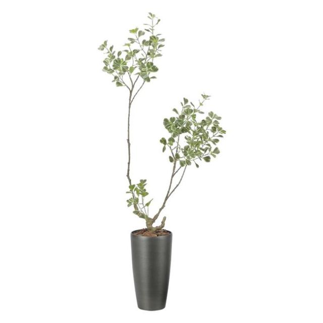 アートグリーン 人工観葉植物 光触媒 光の園 ユッカ1.75 352A370 送料無料ポイント10倍《アートグリーン》《人工観葉植物》光触媒 光