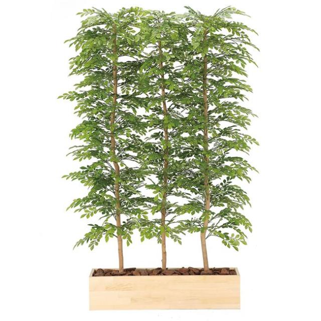 光の楽園(2025年版) ウッドプランターライトトネリコ1.8（組立式） 品番：2610A1500 高さ：180cm - アートクリエイション [光触媒/人工観葉植物] の通販は