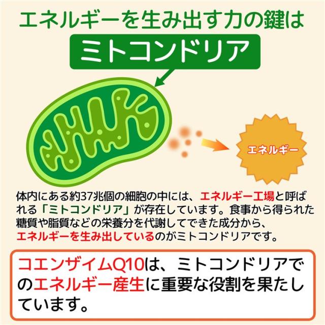 ココカラダ 還元型コエンザイムQ10 カネカ社製 110mg 180日分 (60カプセル×6個セット) [高含有/還元型COQ10] ※メール便対応商品_3