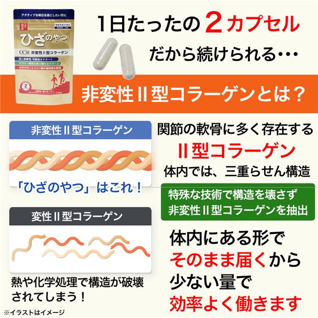 ココカラダ ひざのやつ 非変性2型コラーゲン UC-II [機能性表示食品] 90日分 60カプセル×3個セット - 健人 [ひざ関節/サプリ]_3