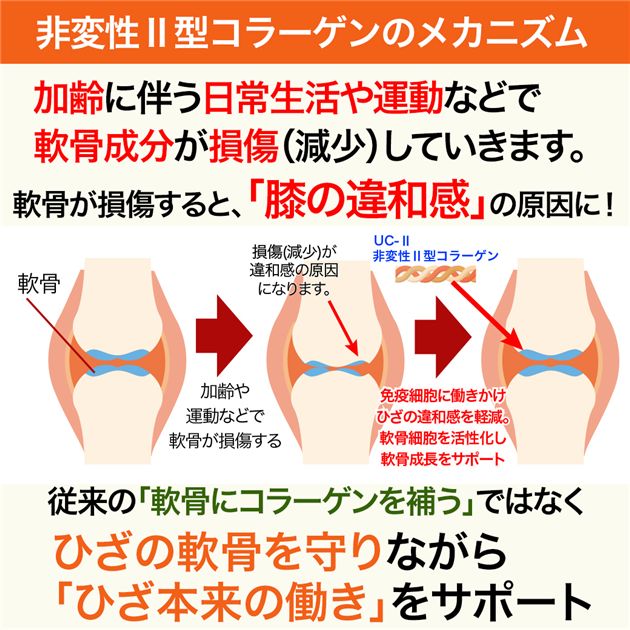 ココカラダ ひざのやつ 非変性2型コラーゲン UC-II [機能性表示食品] 90日分 60カプセル×3個セット - 健人 [ひざ関節/サプリ]_4