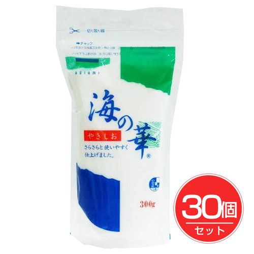 海の華 やきしお 300g×30個セット - 青い海