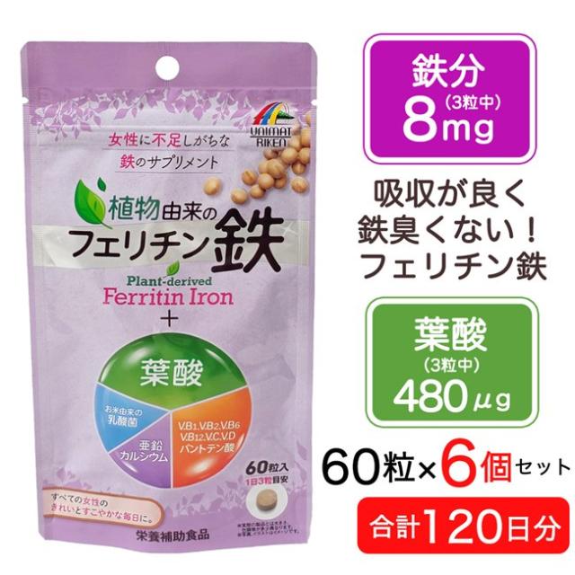 フェリチン鉄＋葉酸 60粒 ×6個セット (合計120日分) - ユニマットリケン [鉄サプリ 女性/鉄不足 サプリ] ※メール便対応商品