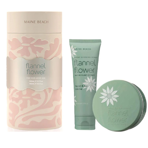 マインビーチ フランネルフラワー ギフトセット Loved One Gift Can - 三和トレーディング