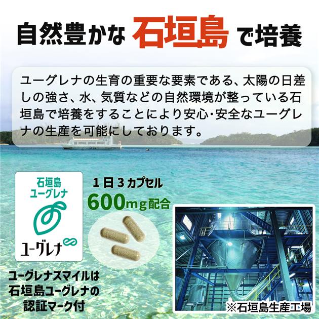 ユーグレナスマイルα 90カプセル×6個セット - ココカラダ [石垣島 
