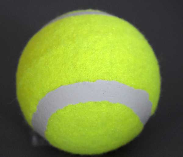 美品/1試合使用テニスボール100球 楽天市場】[お買い物マラソン開催]テニスボール 2P×10(20個