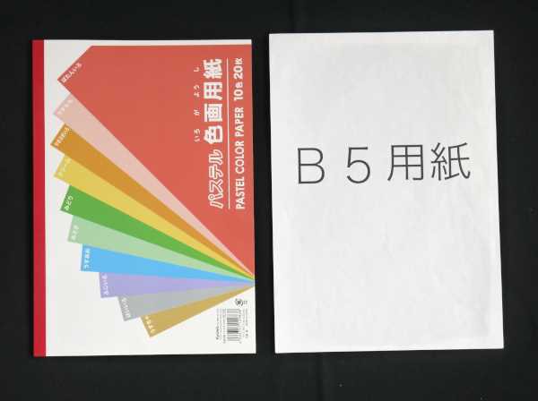 パステル色画用紙 10色 17.5×25.3cm 20枚入 (100円ショップ 100