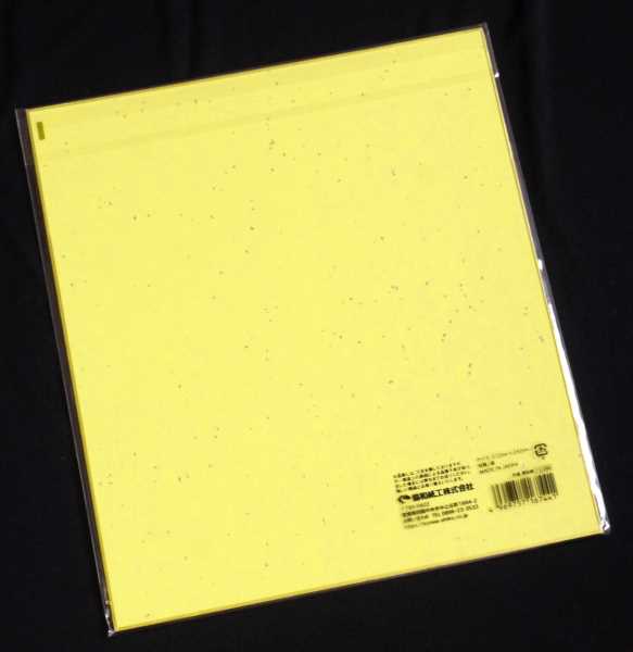 色紙 画仙紙 27.2×24.2cm (100円ショップ 100円均一 100均一 100
