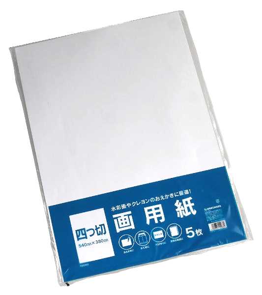 画用紙 四つ切 54×38cm 5枚入 (100円ショップ 100円均一 100均一