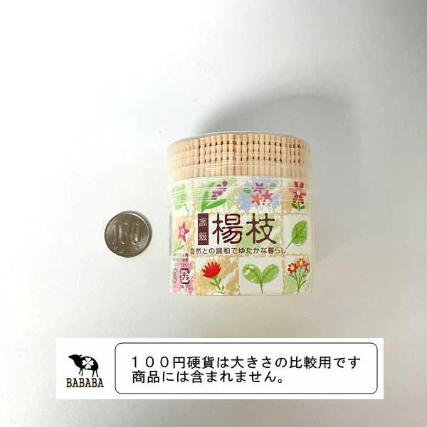 高級楊枝 ジャンボ 約620本入 (100円ショップ 100円均一 100均一 100均 