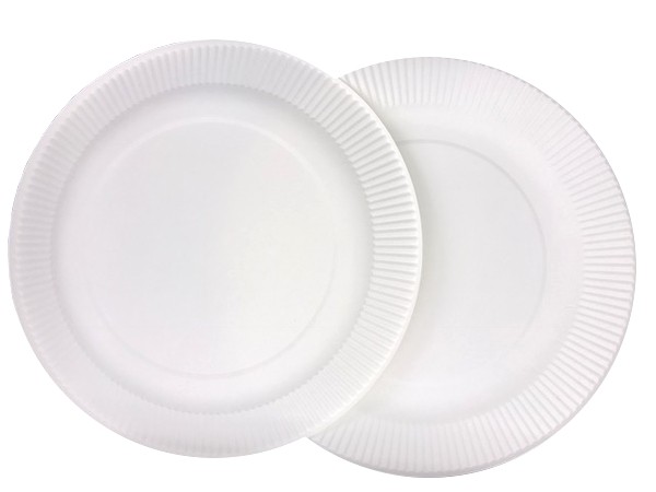 偉大な 紙皿 ホワイト 直径23cm 10枚入 100円ショップ 100円均一 100均一 100均