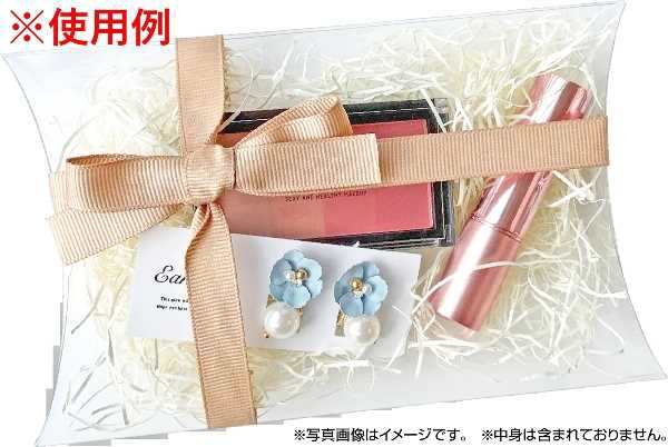 クリアピローボックス Lサイズ(10.5×17×マチ3cm) 2枚入 (100円ショップ 