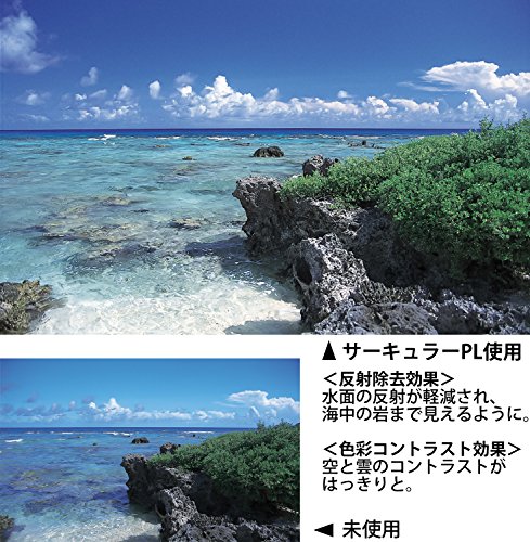 Kenko カメラ用フィルター PRO1D WIDE BAND サーキュラーPL (W) 58mm コントラスト上昇・反射除去用 518526