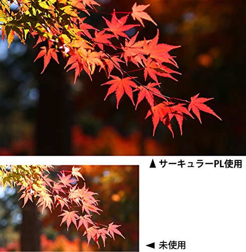 Kenko カメラ用フィルター PRO1D WIDE BAND サーキュラーPL (W) 58mm コントラスト上昇・反射除去用 518526