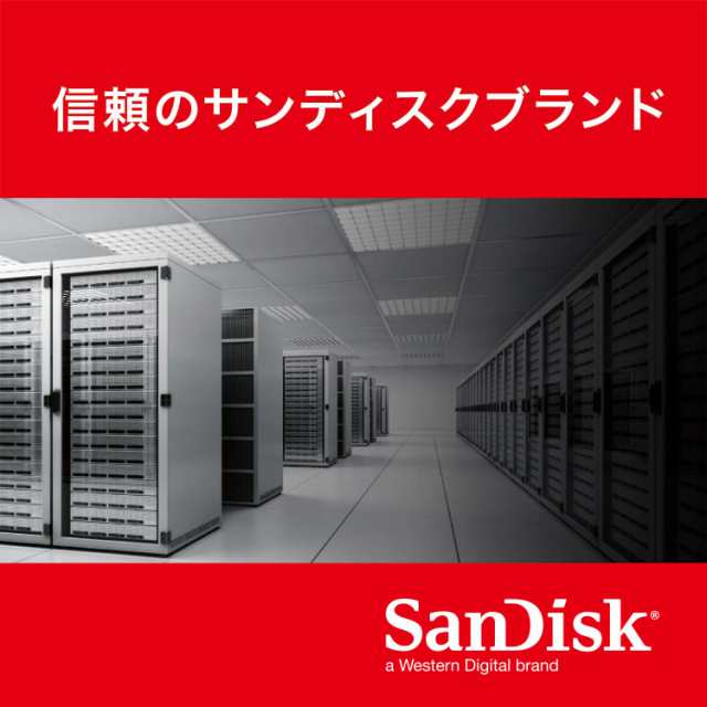 SanDisk SSD Extreme PRO 480GB [国内正規品] メーカー10年保証付 SDSSDXPS-480G-J25