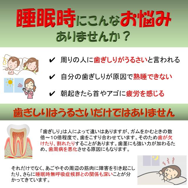 無歯　顎　模型　nissin ガム付き　歯肉　　歯科　ニッシン 無歯 顎 模型 nissin ガム付き 歯肉 歯科 ニッシン