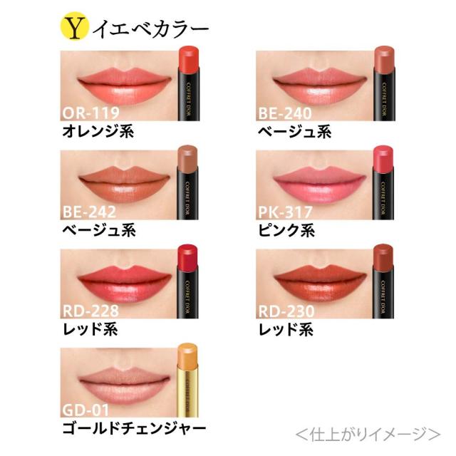COFFRET D？OR コフレドール スキンシンクロルージュ BE-241 口紅 無