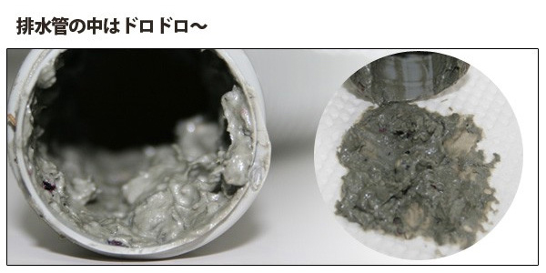 排水管洗剤 排水管とまってキレイ 10錠入 （ パイプクリーナー 排水管 掃除 洗剤 パイプ洗浄 清掃 洗面台 配管 汚れ 臭い 排水管洗浄 パイプ 洗浄 排水口 詰まり ヌメリ 落とす キッチン 浴室 ）
