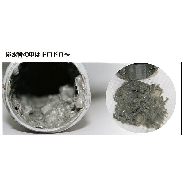 排水管洗剤 排水管とまってキレイ 10錠入 （ パイプクリーナー 排水管 掃除 洗剤 パイプ洗浄 清掃 洗面台 配管 汚れ 臭い 排水管洗浄 パイプ 洗浄 排水口 詰まり ヌメリ 落とす キッチン 浴室 ）